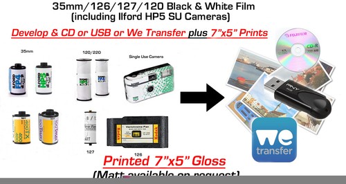 Black white film develop - black, &