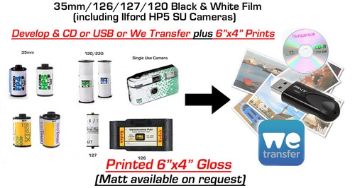 Black white film develop - black, +